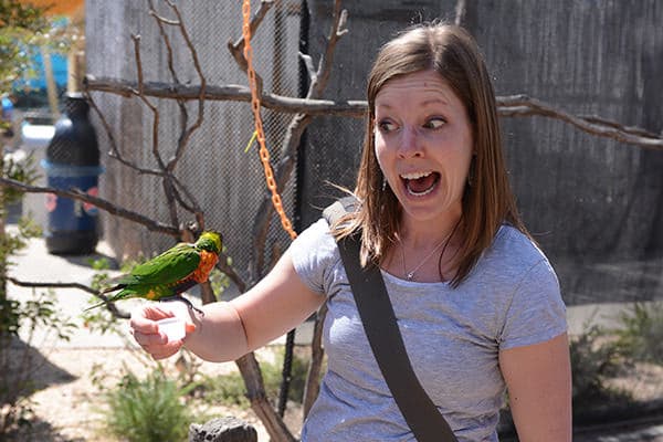 A woman holding a green parrot on her arm. 