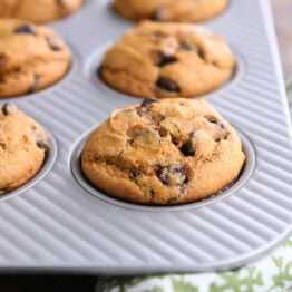 pumpkin chocolate chip muffin in muffin tin