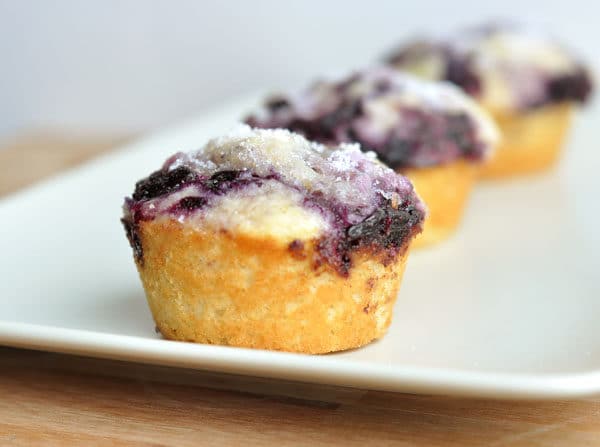 Three blueberry muffins lined up in a row on a white plate.