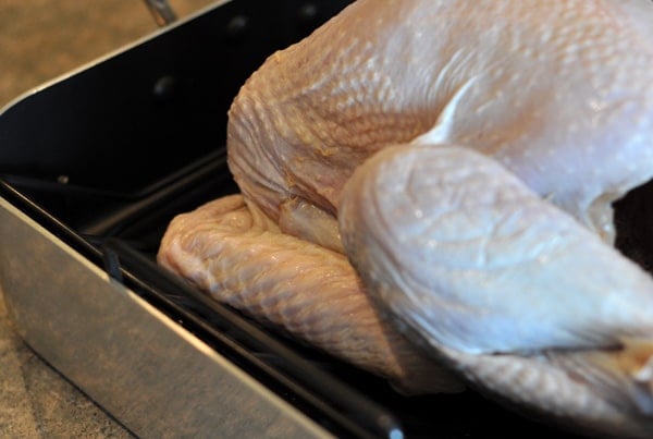 front end of a raw whole turkey in a roasting pan
