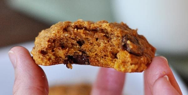 A hand holding a chocolate chip pumpkin cookie with a bite taken out.