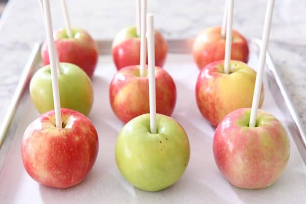 Apples on sheet pan with white sticks in them before dipping in caramel.