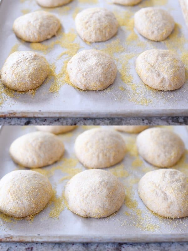 Unrisen and risen easy homemade english muffins on parchment lined baking sheets.
