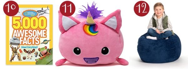 5000 awesome facts book, moosh moosh pillow, bean bag stuffed animal storage