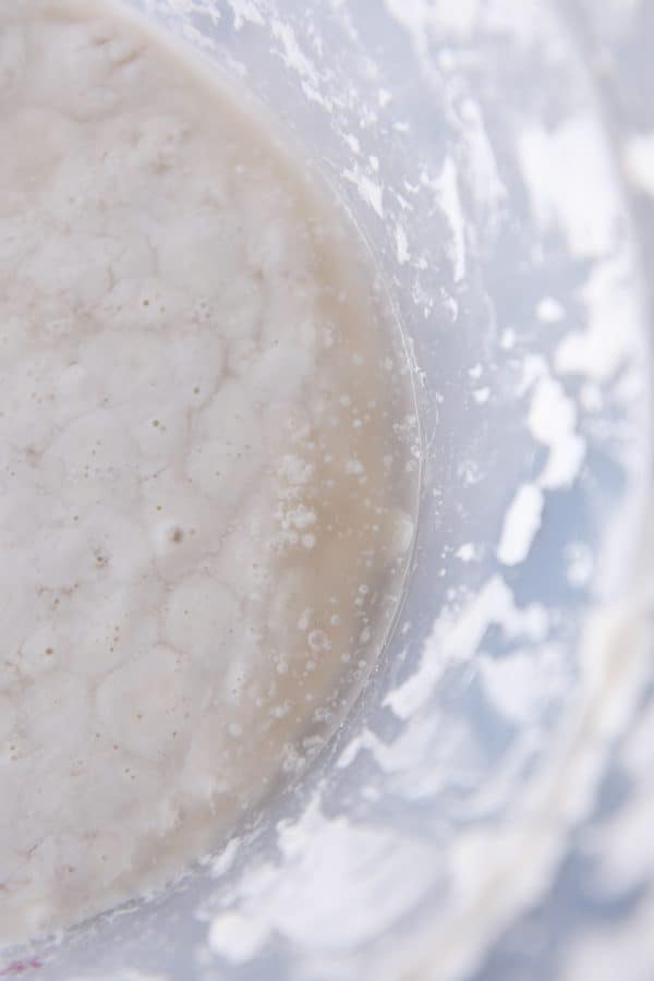 Brown liquid pooling on top of sourdough starter in plastic bucket.