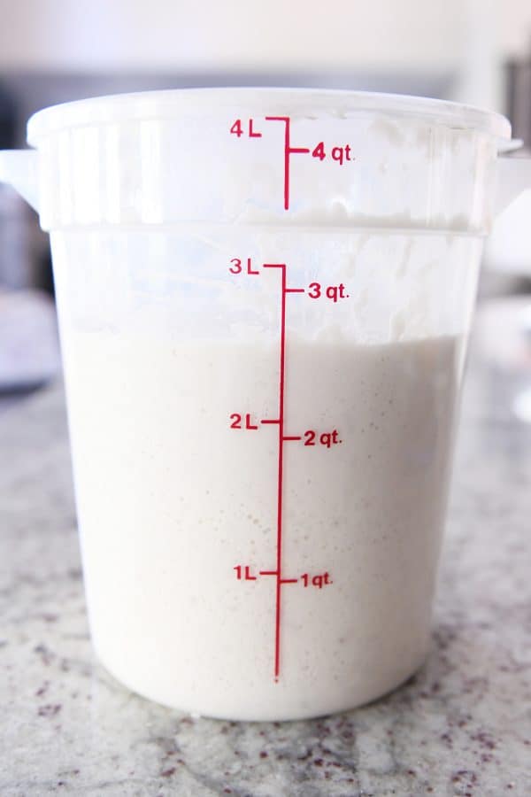 Sourdough starter in 4 quart bucket.