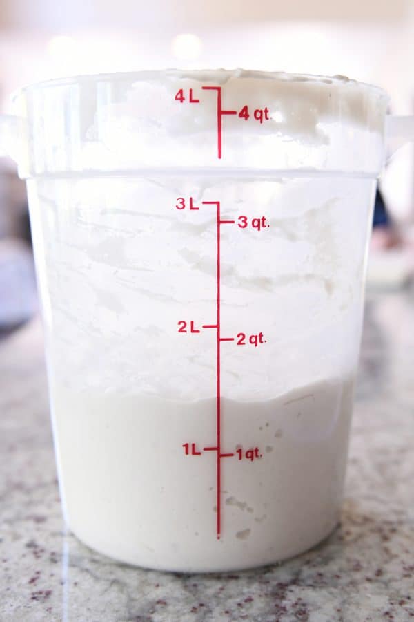 Sourdough starter in 4 quart plastic bucket.