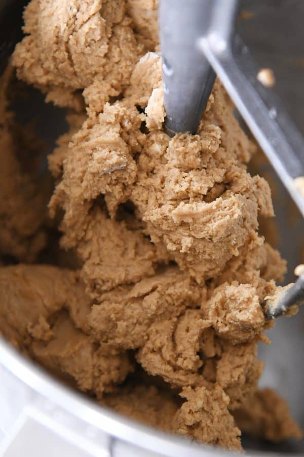 Gingerbread sugar cookie dough in kitchenaid bowl.