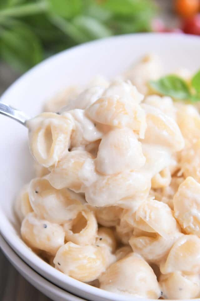 Spoon scooping up pasta shells in creamy alfredo sauce in white bowl.