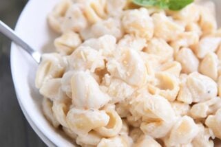 spoon scooping up pasta shells in creamy alfredo sauce in white bowl