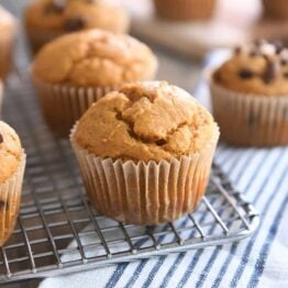 sourdough pumpkin muffin in brown paper liner on metal cooling rack