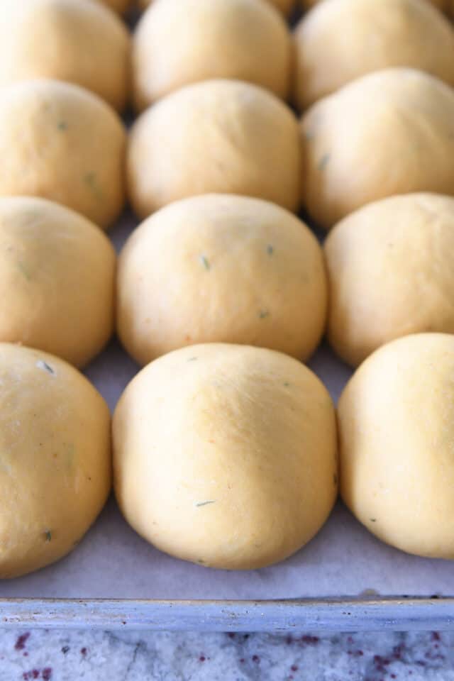 Pumpkin dinner rolls rising on parchment lined baking sheet.