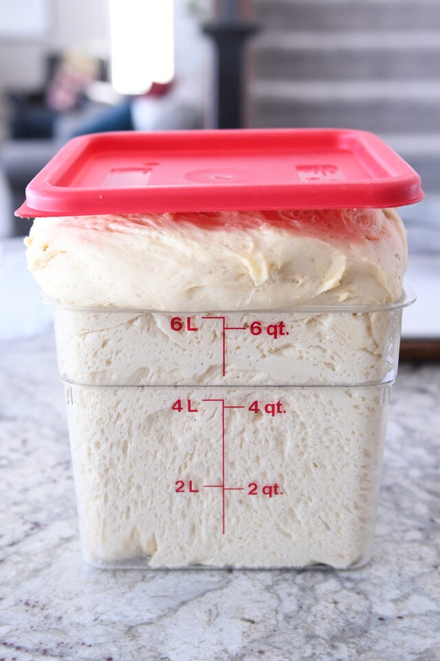 Dough rising in 6 quart dough bucket.
