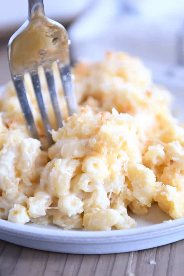 Fork taking bite of plated macaroni and cheese.