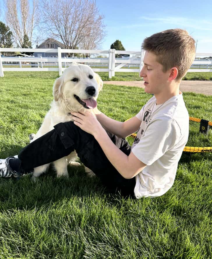 Boy with golden retriever