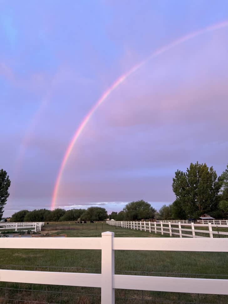 Rainbow in sky over pasture.