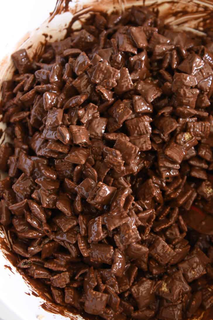 Rice chex cereal coated in wet peanut butter and chocolate mixture.