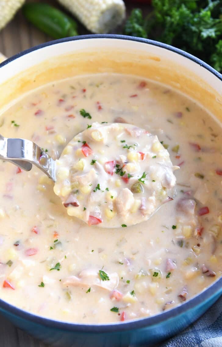 A metal ladle filled with a creamy chicken and vegetable soup over the top of a pot of the same soup.