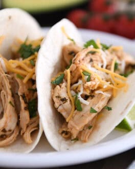 A white plate with two assembled shredded chicken tacos topped with cheese and chopped cilantro.