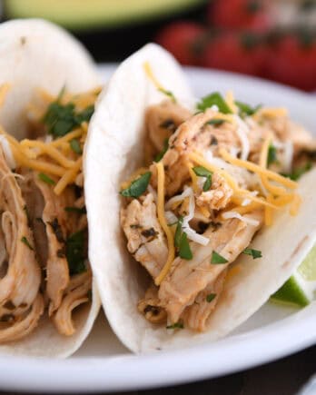 A white plate with two assembled shredded chicken tacos topped with cheese and chopped cilantro.
