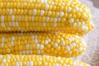 Fresh corn on the cob stacked on top of each other on a decorative platter.