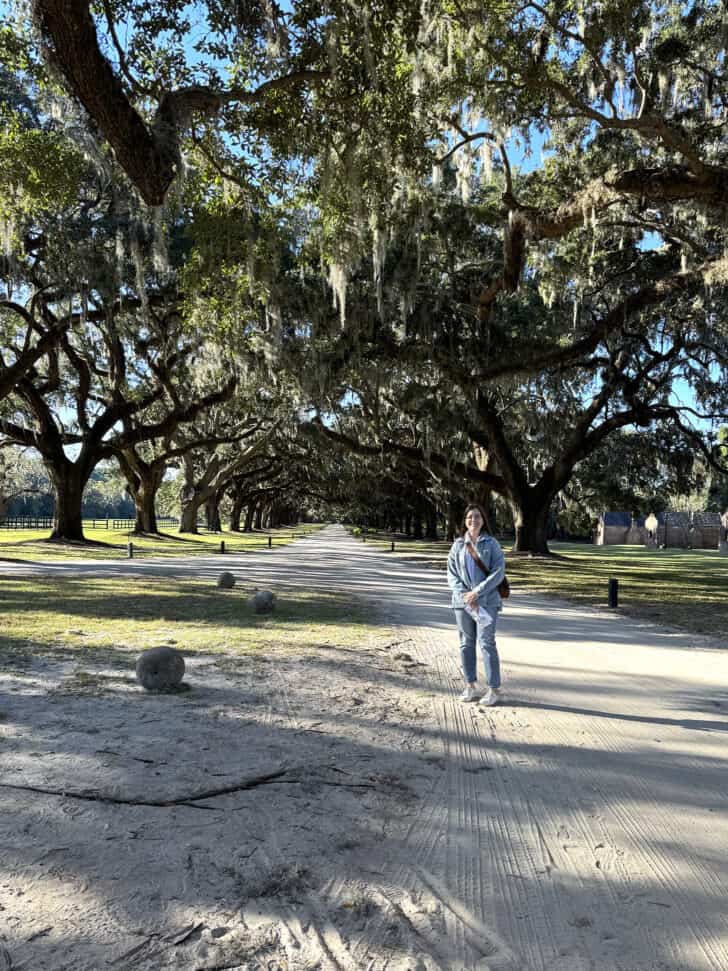 Avenue of the oaks boone hall plantation