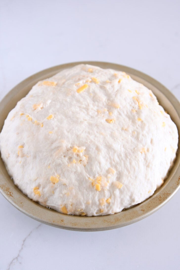 Risen round loaf of bread dough in pie plate.