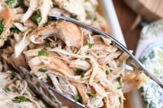 Top down view of a white platter with seasoned shredded chicken and chopped cilantro. A metal tong is getting a portion of the chicken.