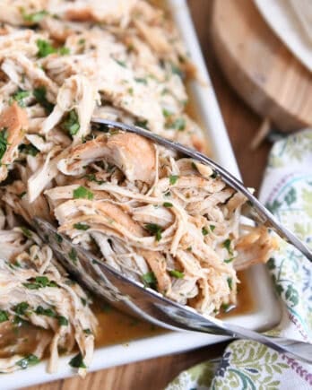 Top down view of a white platter with seasoned shredded chicken and chopped cilantro. A metal tong is getting a portion of the chicken.