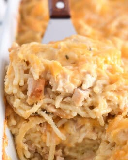Spatula holding square of cheesy chicken spaghetti in white pan with the rest of the casserole.