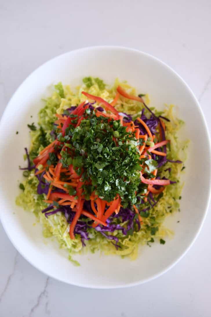 Chopped cilantro, chopped green onions, matchstick carrots, red pepper, red cabbage and Napa cabbage in white bowl.