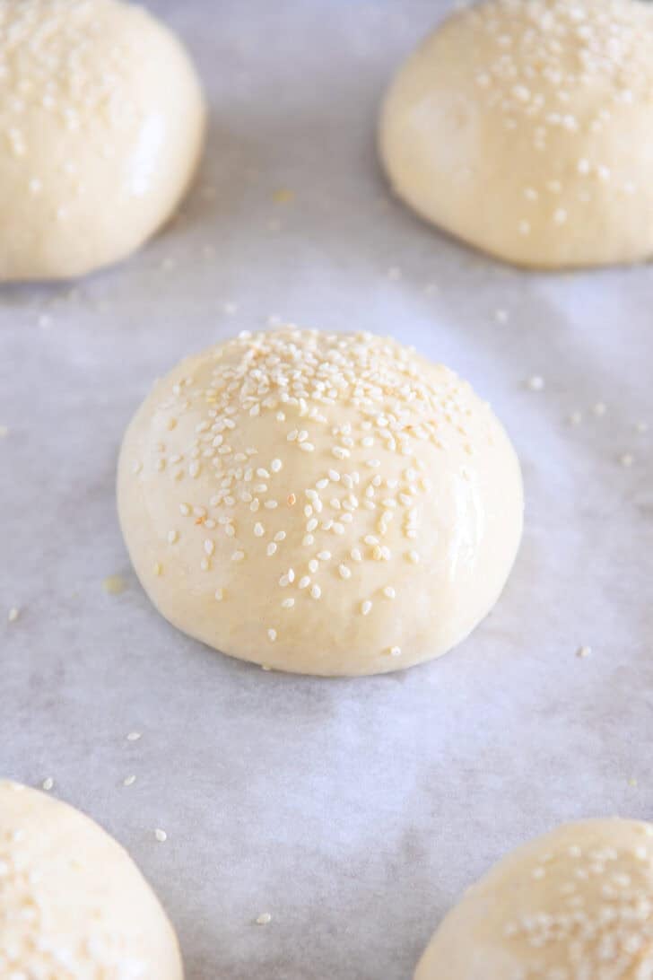 Homemade hamburger buns rising on parchment paper with sesame seeds on top.