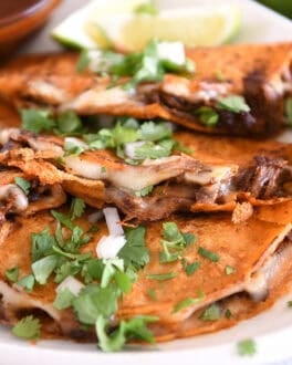 Three corn tortillas filled with beef and melty cheese topped with cilantro and onions on white platter.