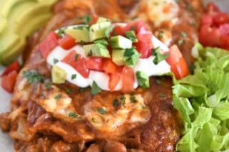 Top down view of two enchiladas on gray plate topped with red enchilada sauce, cheese, cilantro, sour cream, tomatoes, and avocados.