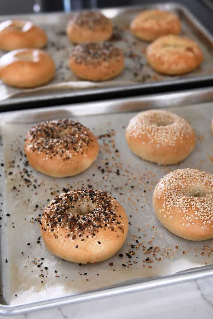 Two pans of baked homemade bagels topped sesame seeds and everything bagel seasoning.
