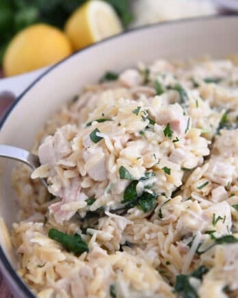 Serving spoon with scoop of creamy orzo, spinach and chicken.