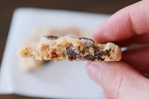 The inside of a half eaten chocolate chip cookie. 