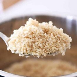 Spoonful of cooked quinoa in the Instant Pot.