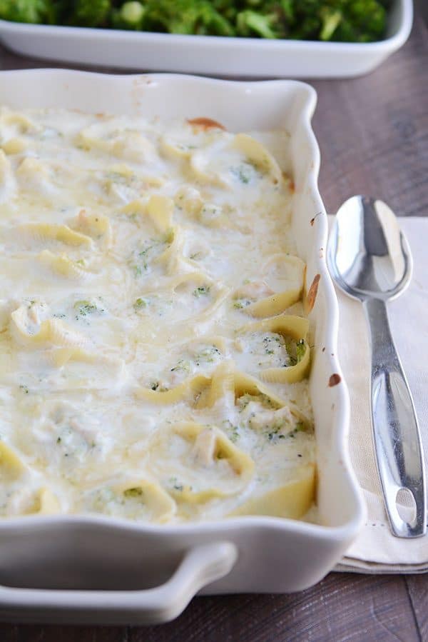 Top view of a white casserole dish of alfredo sauce covered pasta shells stuffed with chicken and broccoli.