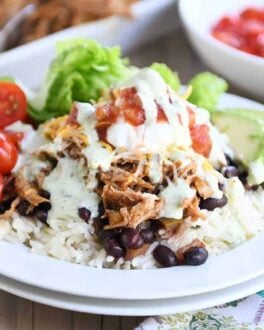 White plate with cilantro lime rice, black beans, sweet pork and toppings.