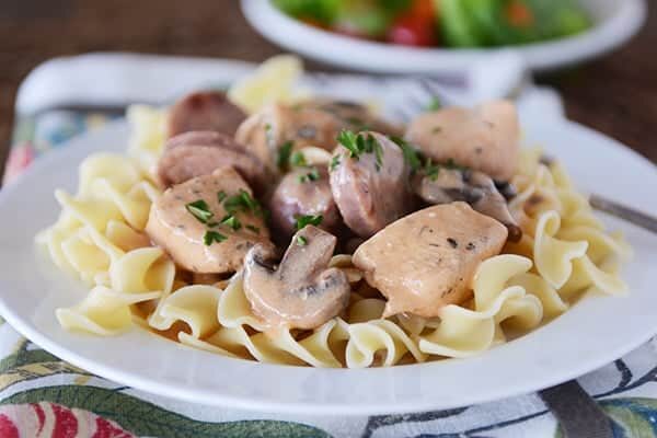 Cajun chicken stroganoff over cooked egg noodles on a white plate. 