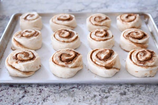 Cinnamon rolls rising on half sheet pan.