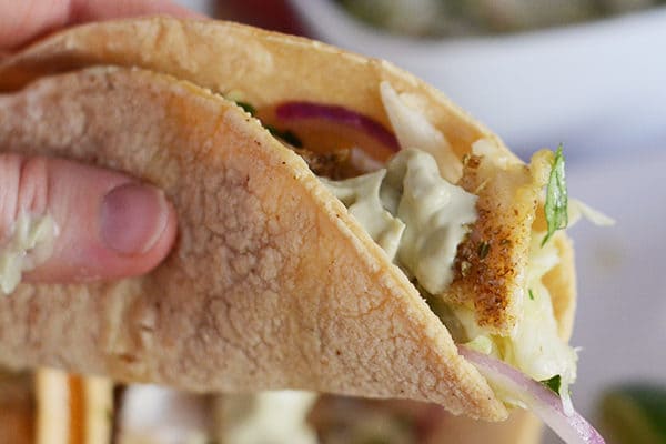 A hand holding a corn tortilla tilapia taco. 