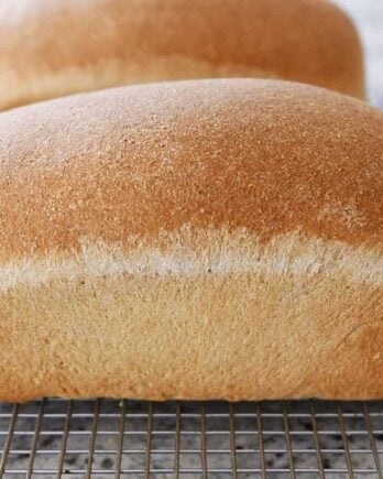 Two loaves of small batch whole wheat bread on cooling rack.