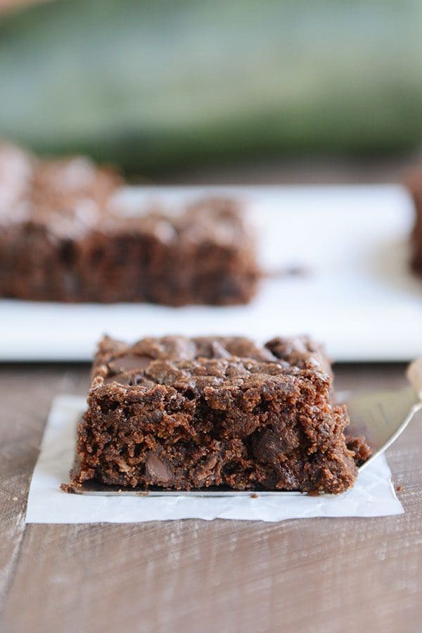A metal spatula with a chocolate chip zucchini brownie on it. 